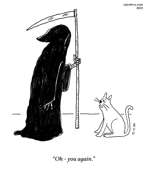 Cat Meets Grim Reaper